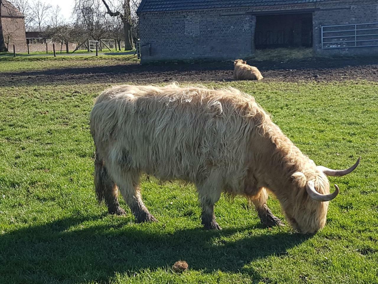 Domizil Xanten Bagian luar foto